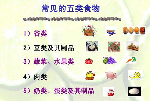 食品分類(lèi)五大類(lèi)