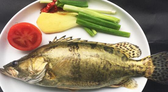 桂花魚(yú)口感特點(diǎn)