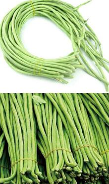 豇豆圖片細節(jié)