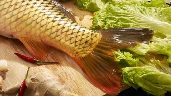 鯉魚(yú)做菜